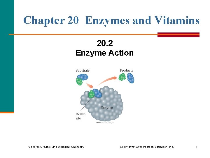 Chapter 20 Enzymes and Vitamins 20. 2 Enzyme Action General, Organic, and Biological Chemistry