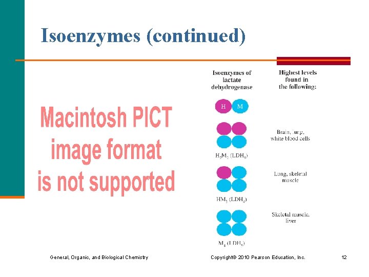Isoenzymes (continued) General, Organic, and Biological Chemistry Copyright © 2010 Pearson Education, Inc. 12