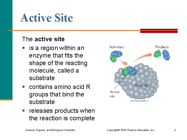 Active Site The active site § is a region within an enzyme that fits