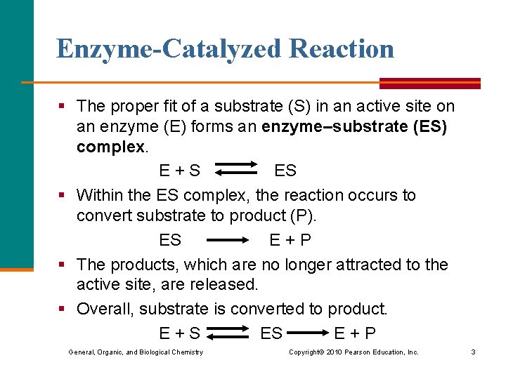 Enzyme-Catalyzed Reaction § The proper fit of a substrate (S) in an active site
