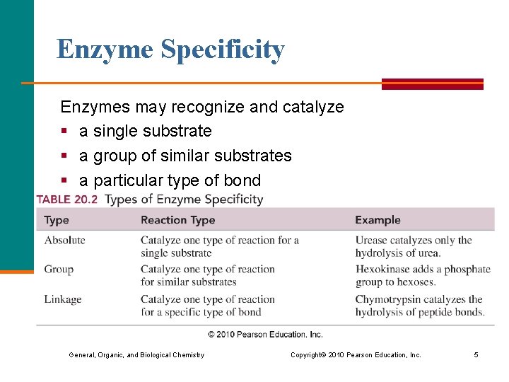Enzyme Specificity Enzymes may recognize and catalyze § a single substrate § a group