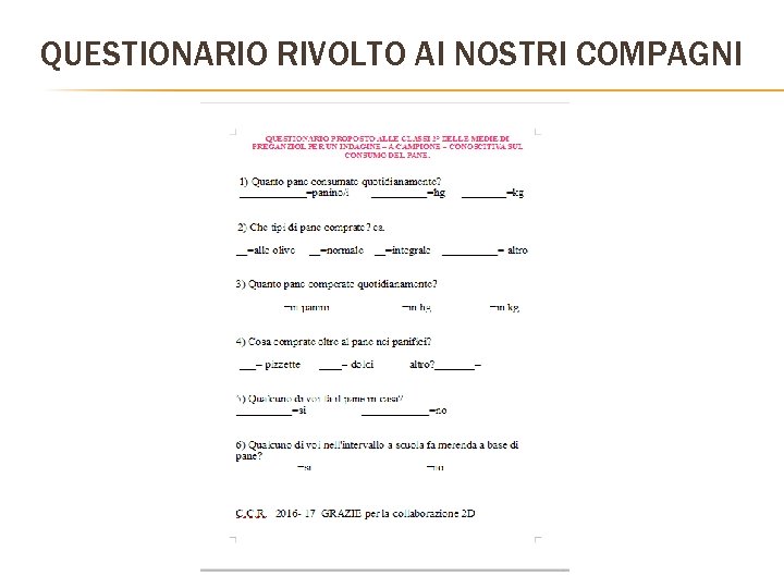 QUESTIONARIO RIVOLTO AI NOSTRI COMPAGNI QUESTIONARIO RIVOLTO AI NOSTRI COMPAGNI