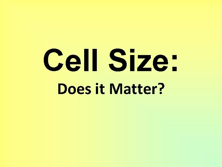 Cell Size: Does it Matter? 