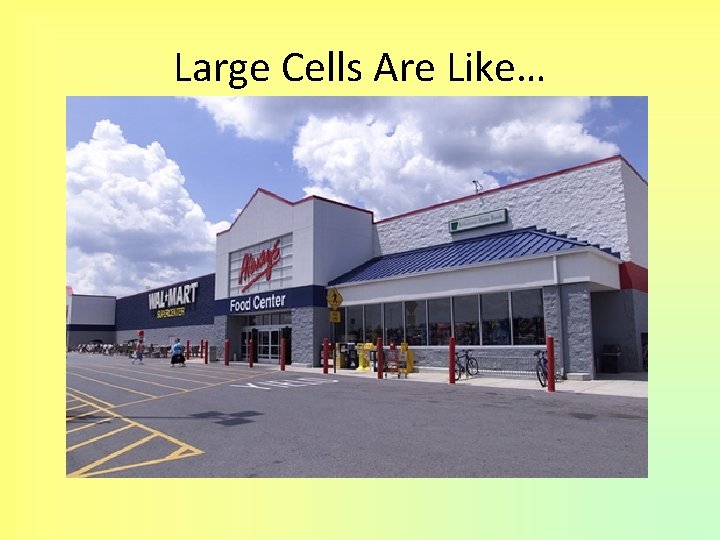 Large Cells Are Like… Super Centers (Walmart or Sam’s Club) 