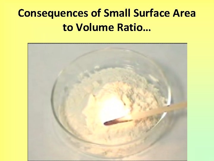 Consequences of Small Surface Area to Volume Ratio… 