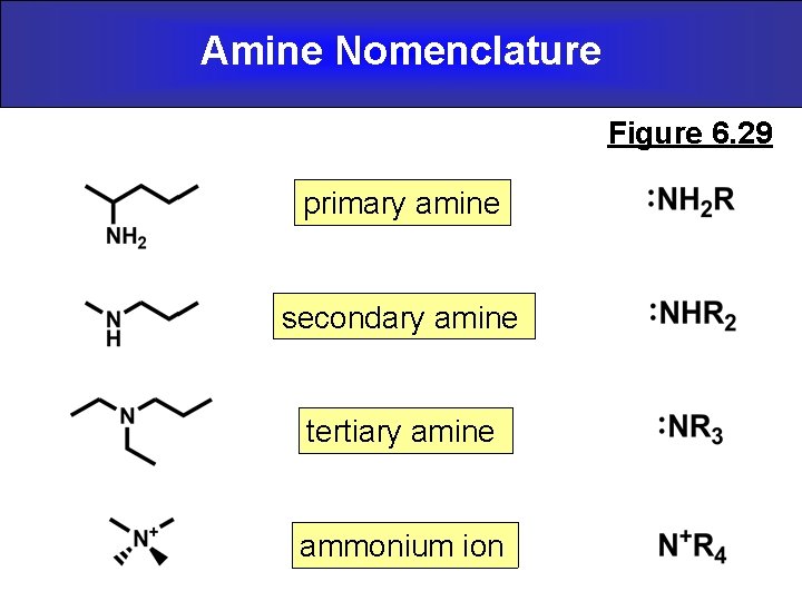 Amine Nomenclature Figure 6. 29 primary amine secondary amine tertiary amine ammonium ion 