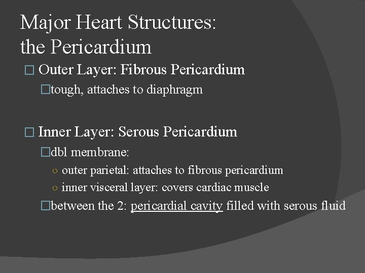 Major Heart Structures: the Pericardium � Outer Layer: Fibrous Pericardium �tough, attaches to diaphragm