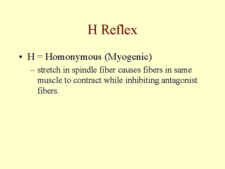 H Reflex • H = Homonymous (Myogenic) – stretch in spindle fiber causes fibers