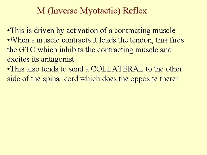 M (Inverse Myotactic) Reflex • This is driven by activation of a contracting muscle