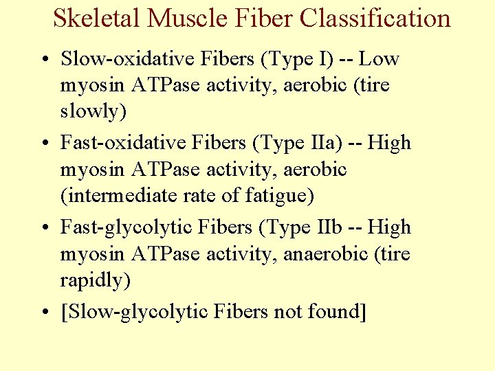 Skeletal Muscle Fiber Classification • Slow-oxidative Fibers (Type I) -- Low myosin ATPase activity,