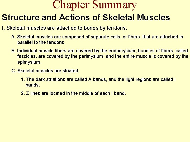 Chapter Summary Structure and Actions of Skeletal Muscles I. Skeletal muscles are attached to