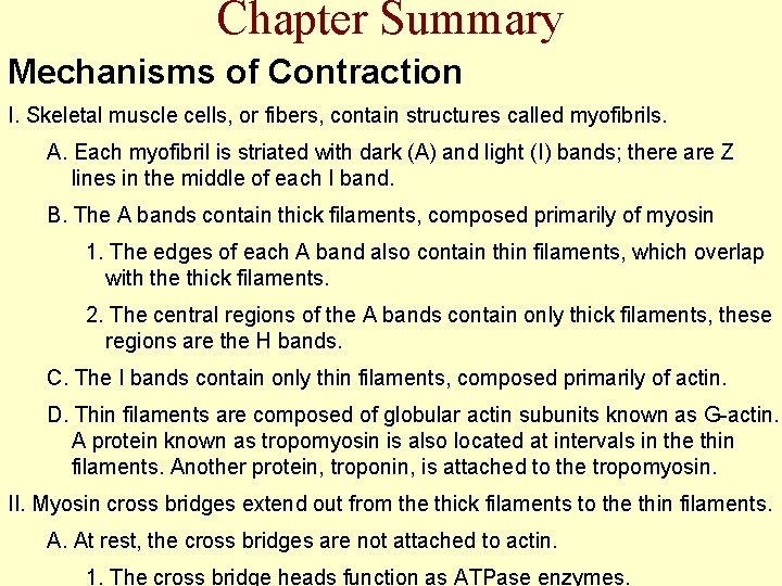 Chapter Summary Mechanisms of Contraction I. Skeletal muscle cells, or fibers, contain structures called