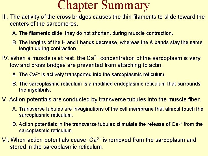 Chapter Summary III. The activity of the cross bridges causes the thin filaments to