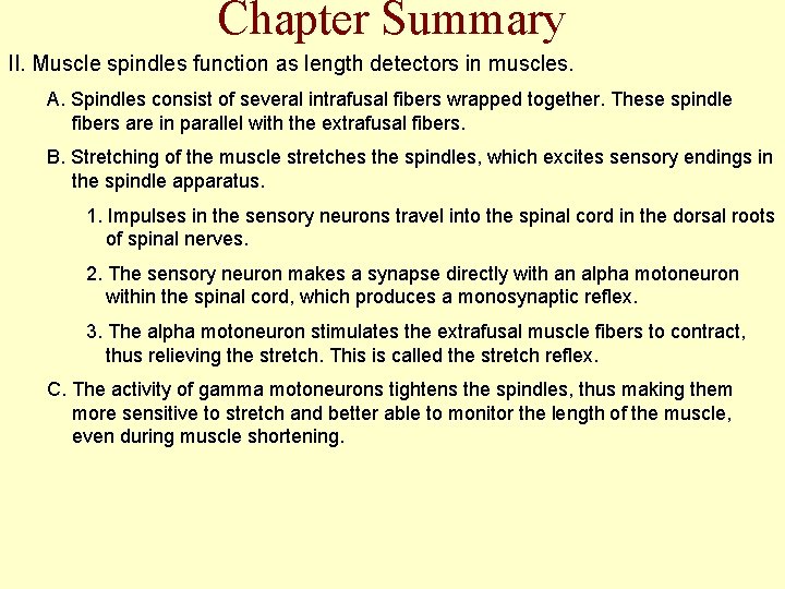 Chapter Summary II. Muscle spindles function as length detectors in muscles. A. Spindles consist
