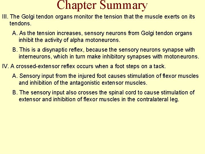 Chapter Summary III. The Golgi tendon organs monitor the tension that the muscle exerts