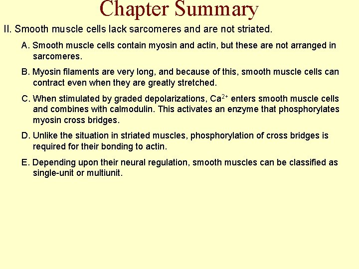 Chapter Summary II. Smooth muscle cells lack sarcomeres and are not striated. A. Smooth