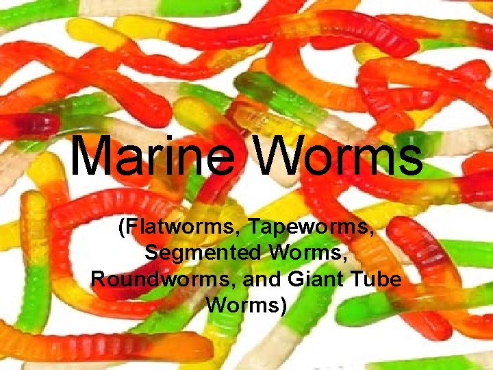 Marine Worms (Flatworms, Tapeworms, Segmented Worms, Roundworms, and Giant Tube Worms) 