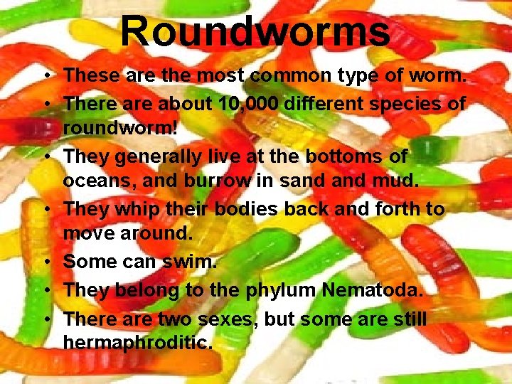 Roundworms • These are the most common type of worm. • There about 10,