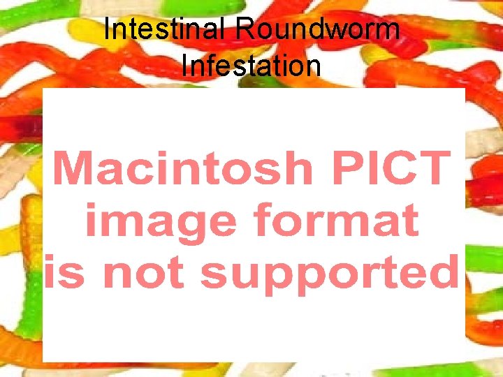 Intestinal Roundworm Infestation 