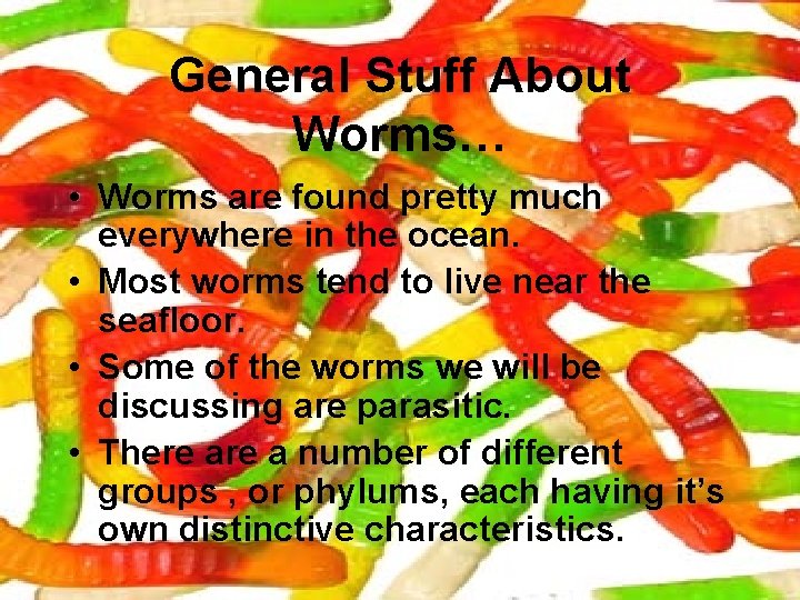 General Stuff About Worms… • Worms are found pretty much everywhere in the ocean.