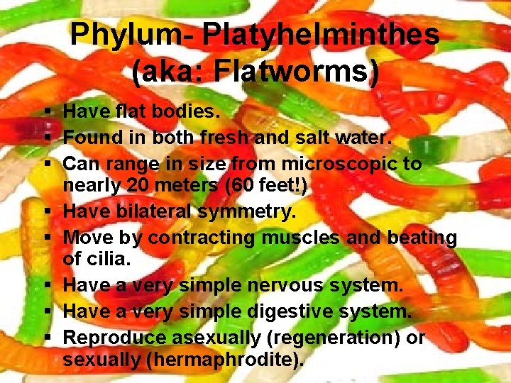Phylum- Platyhelminthes (aka: Flatworms) § Have flat bodies. § Found in both fresh and