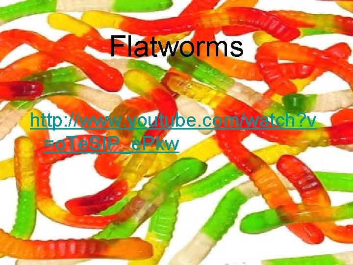 Flatworms http: //www. youtube. com/watch? v =o. Te. SIP_e. Pkw 