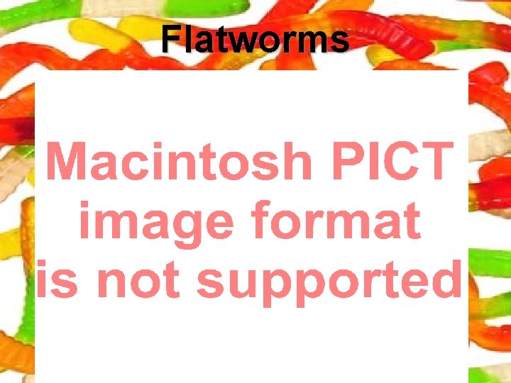 Flatworms 