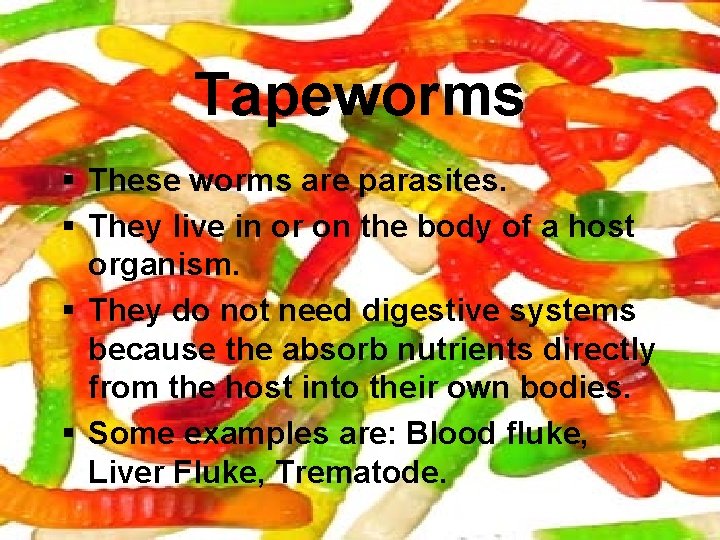 Tapeworms § These worms are parasites. § They live in or on the body