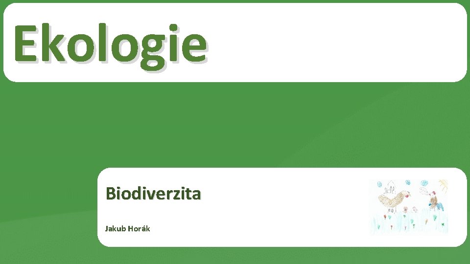 Ekologie Biodiverzita Jakub Horák 