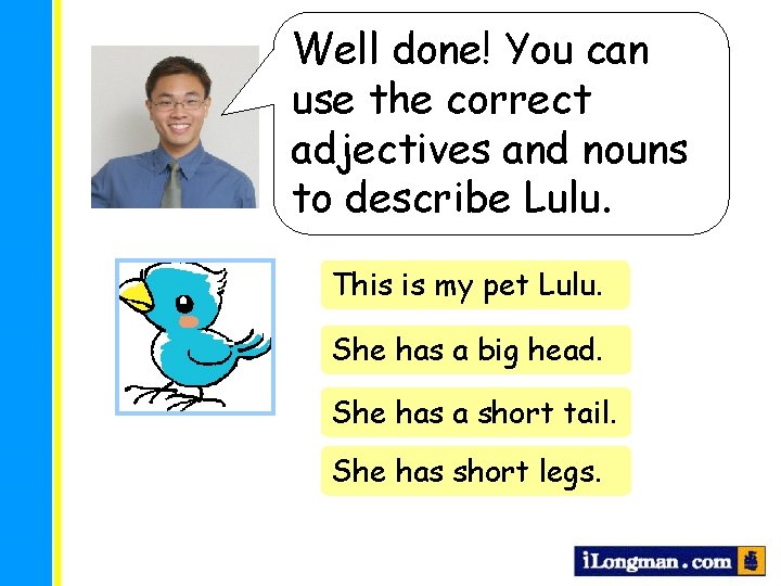 Well done! You can use the correct adjectives and nouns to describe Lulu. This