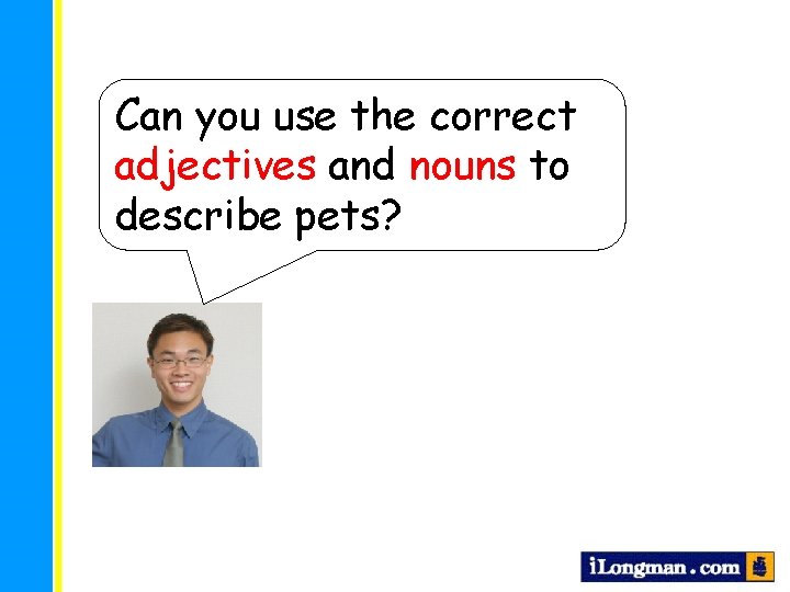 Can you use the correct adjectives and nouns to describe pets? 
