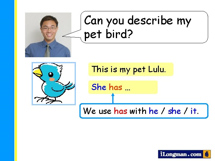 Can you describe my pet bird? This is my pet Lulu. She … has