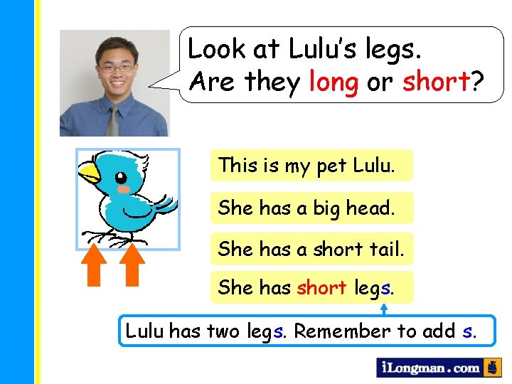 Look at Lulu’s legs. Are they long or short? This is my pet Lulu.