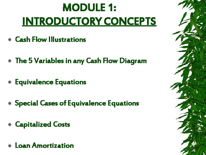 MODULE 1: INTRODUCTORY CONCEPTS Cash Flow Illustrations The 5 Variables in any Cash Flow