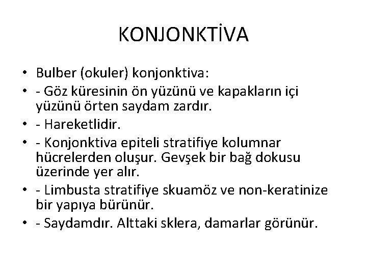 KONJONKTİVA • Bulber (okuler) konjonktiva: • - Göz küresinin ön yüzünü ve kapakların içi