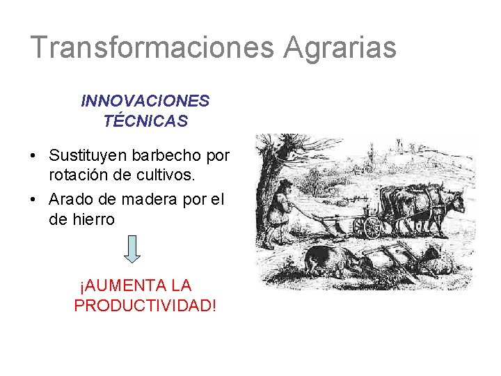 Transformaciones Agrarias INNOVACIONES TÉCNICAS • Sustituyen barbecho por rotación de cultivos. • Arado de