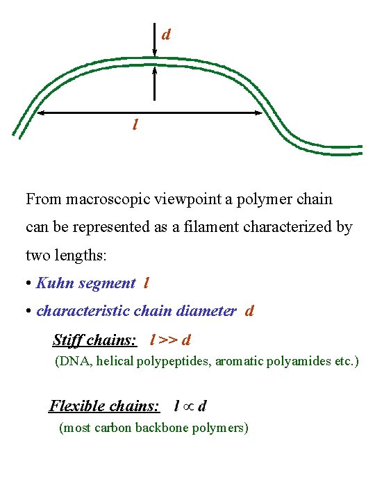 d l From macroscopic viewpoint a polymer chain can be represented as a filament