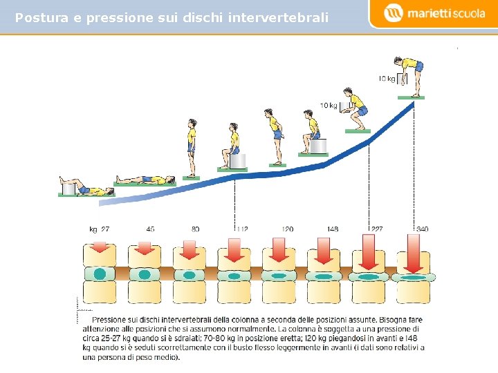 Postura e pressione sui dischi intervertebrali 