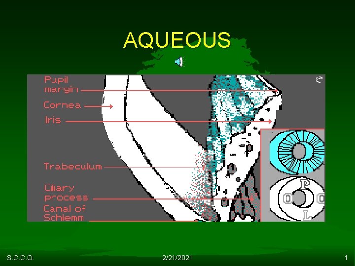 AQUEOUS S. C. C. O. 2/21/2021 1 