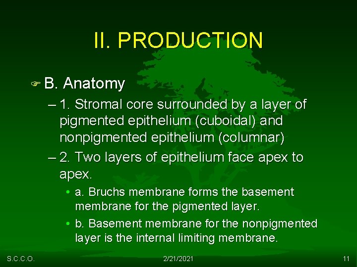 II. PRODUCTION F B. Anatomy – 1. Stromal core surrounded by a layer of