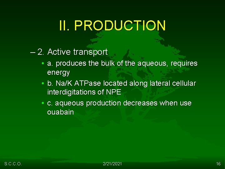 II. PRODUCTION – 2. Active transport • a. produces the bulk of the aqueous,