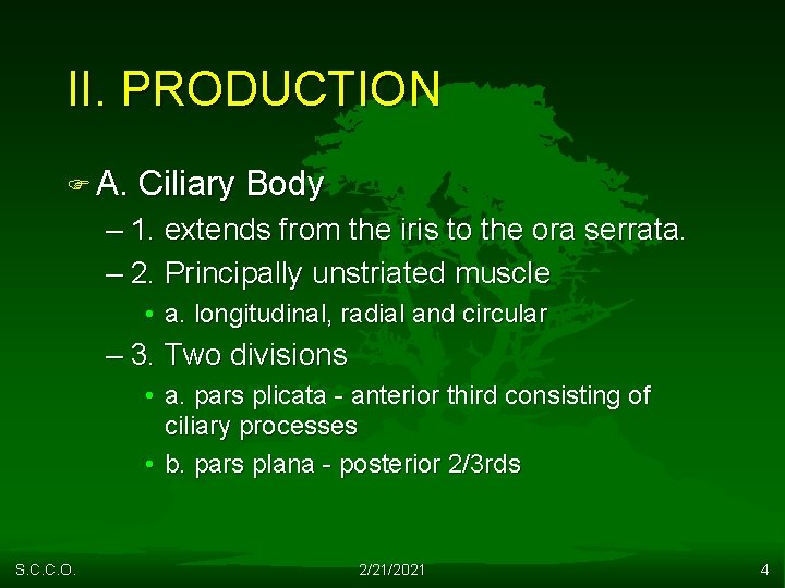 II. PRODUCTION F A. Ciliary Body – 1. extends from the iris to the