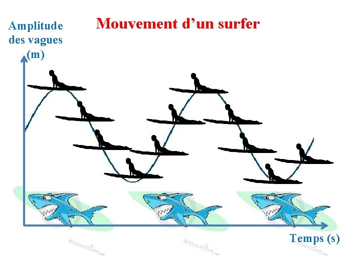 Amplitude des vagues (m) Mouvement d’un surfer Temps (s) 
