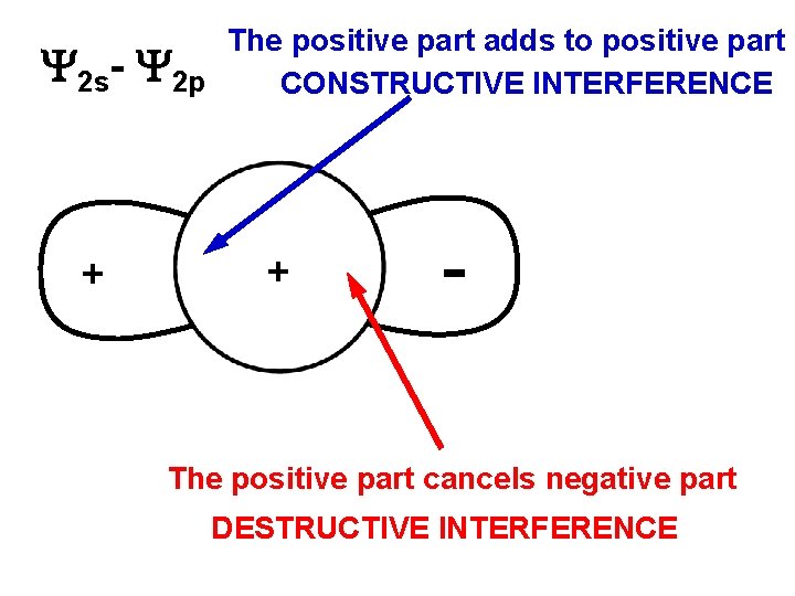 The positive part adds to positive part 2 s- 2 p CONSTRUCTIVE INTERFERENCE +