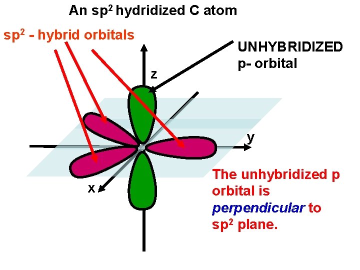 An sp 2 hydridized C atom sp 2 - hybrid orbitals z UNHYBRIDIZED p-