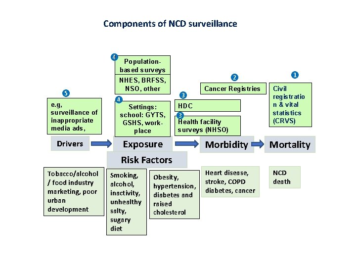 Components of NCD surveillance ❹ ❺ e. g, surveillance of inappropriate media ads, Drivers