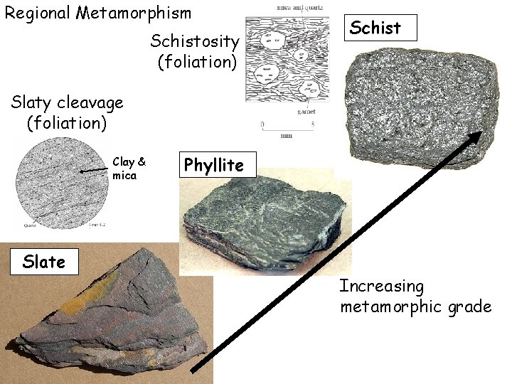 Regional Metamorphism Schistosity (foliation) Schist Slaty cleavage (foliation) Clay & mica Phyllite Slate Increasing