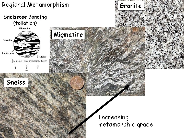 Regional Metamorphism Granite Gneissose Banding (foliation) Migmatite Gneiss Increasing metamorphic grade 