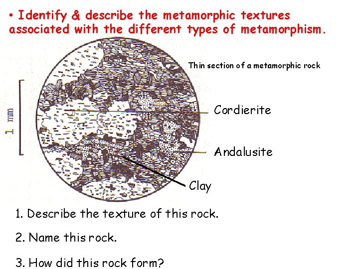  • Identify & describe the metamorphic textures associated with the different types of
