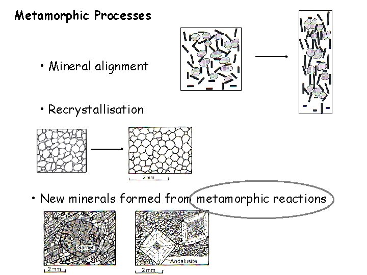 Metamorphic Processes • Mineral alignment • Recrystallisation • New minerals formed from metamorphic reactions